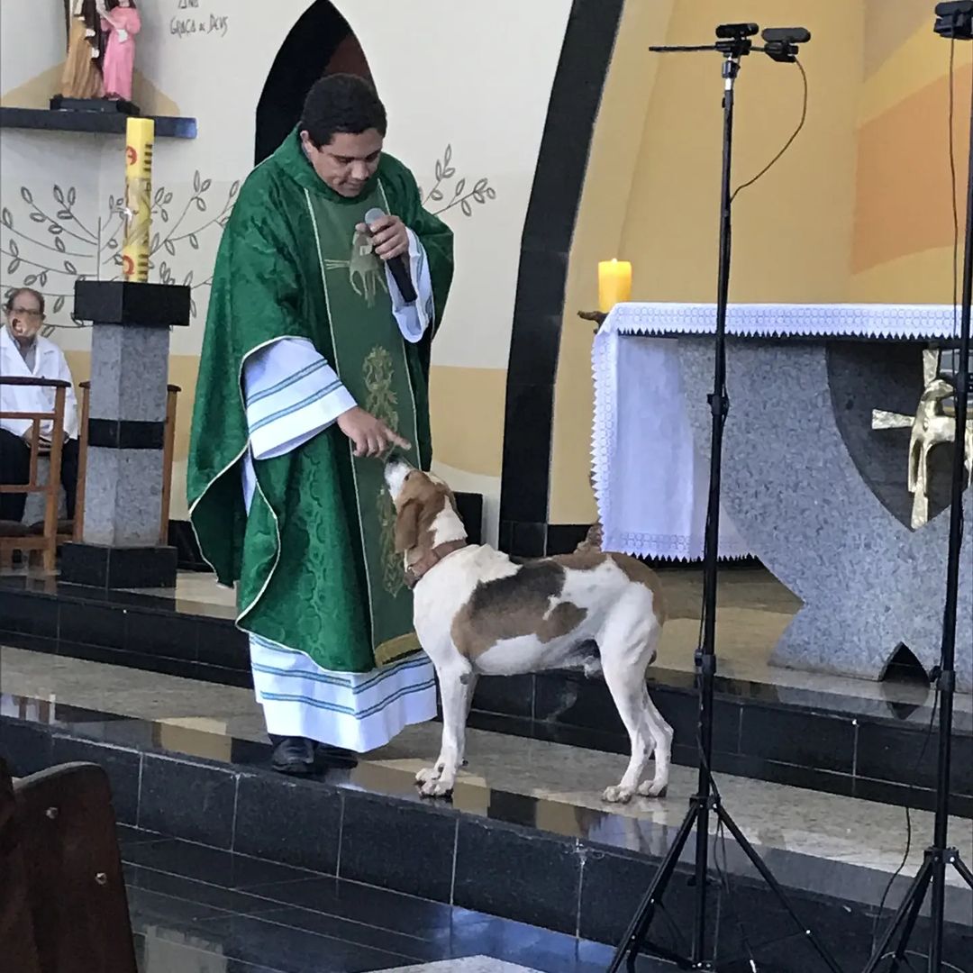 Cachorro adotado por padre faz participação em celebração católica