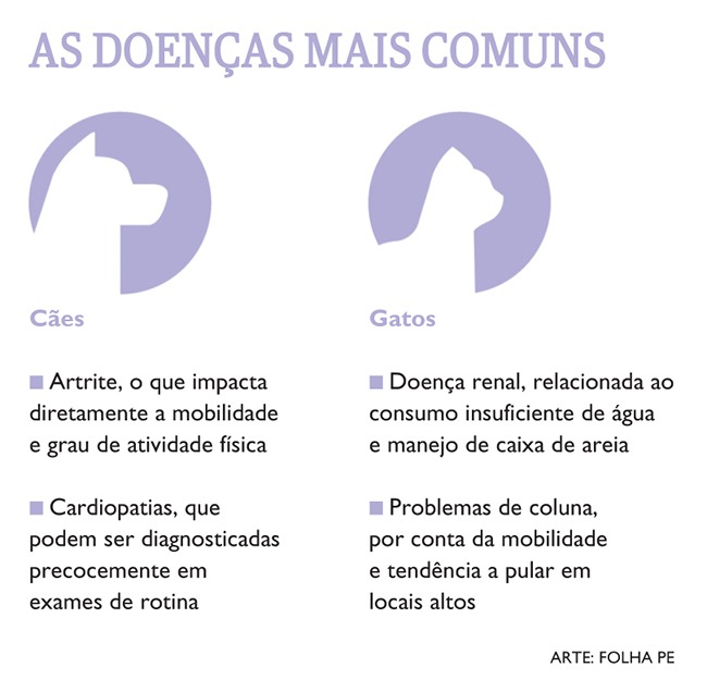 Doenças mais comuns para cães e gatos idosos