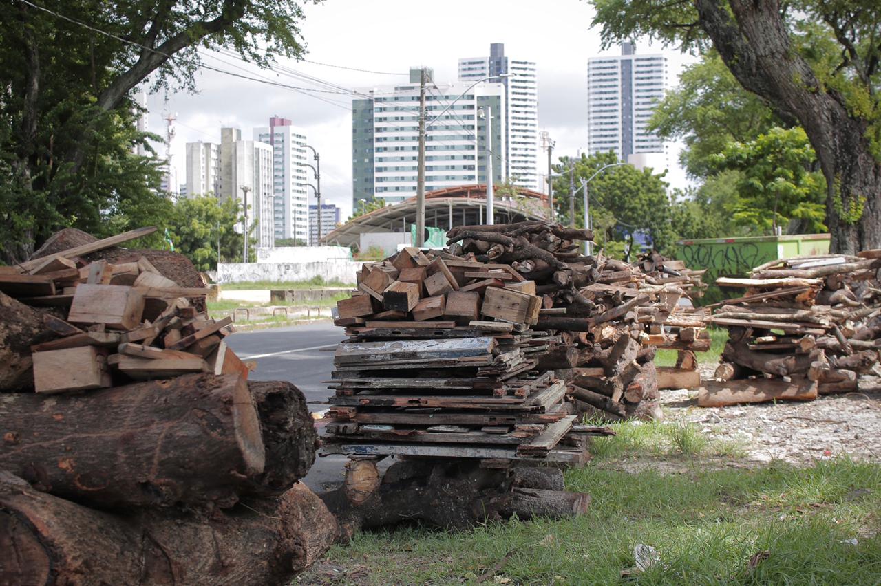 Comércio de fogueiras, na Zona Norte do Recife