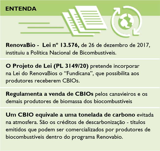 Associação dos Fornecedores de Cana de Pernambuco (AFCP)