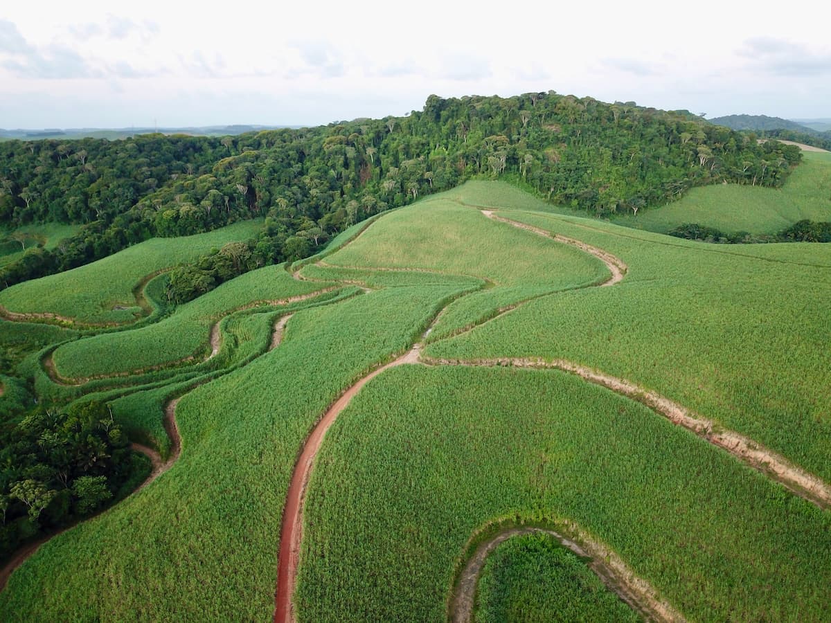 Grupo EQM detém mais de 11 mil ha de Mata  Atlântica preservada,  sendo 6.068 ha em Cucaú e 4.960 ha em Utinga