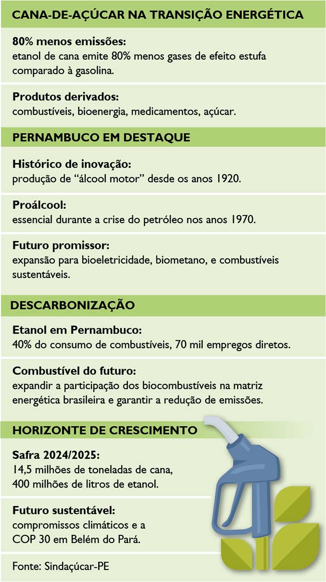 Cana-de-açúcar na transição energética