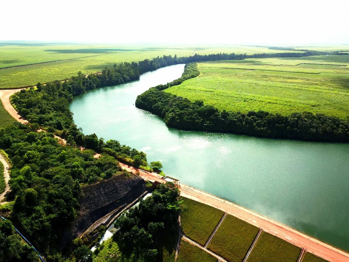 Preservação do meio ambiente e das matas ciliares está entre as preocupações do grupo alagoano 