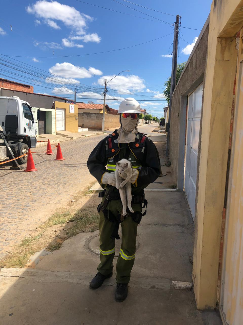 Técnico da Neoenergia resgata gato que ficou preso em poste por 24h 