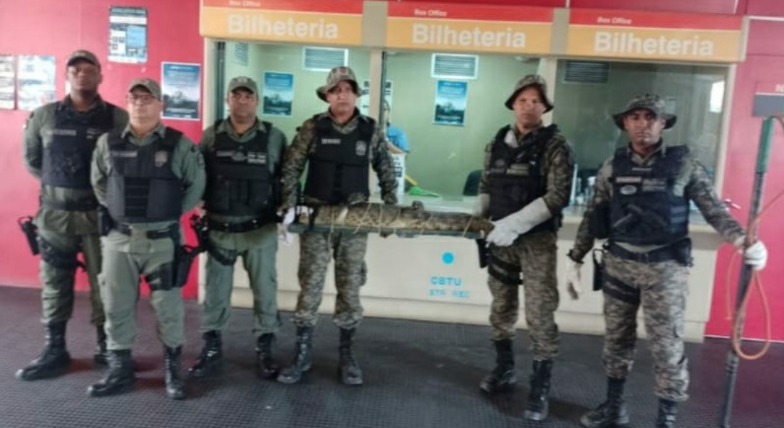 Jacaré foi encontrado em uma sala administrativa da Estação Afogados