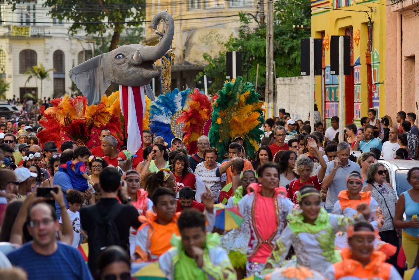 Elefante de Olinda