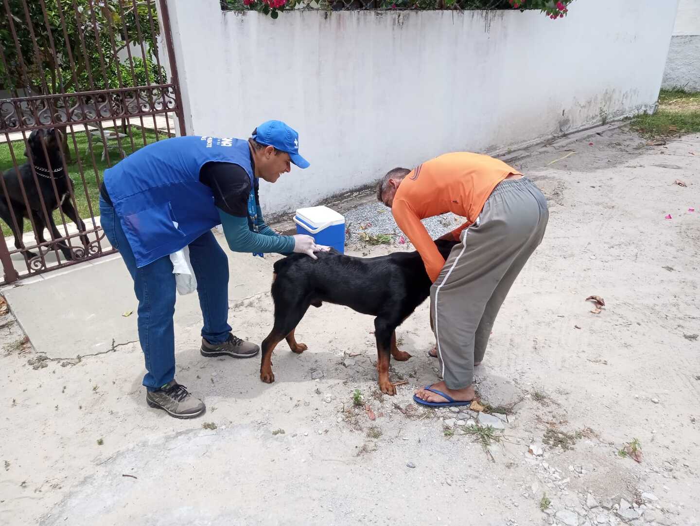 Agentes de saúde iniciaram o protocolo de busca ativa por cães e gatos em locais mais afastados do município