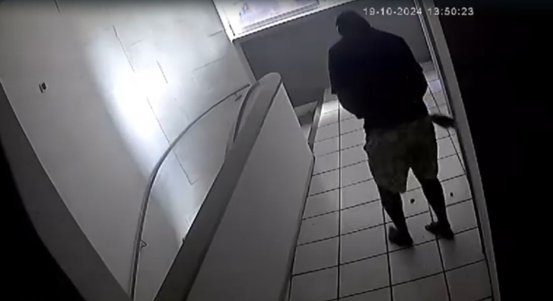 Momento em que homem agarra gata para arremessá-la da janela