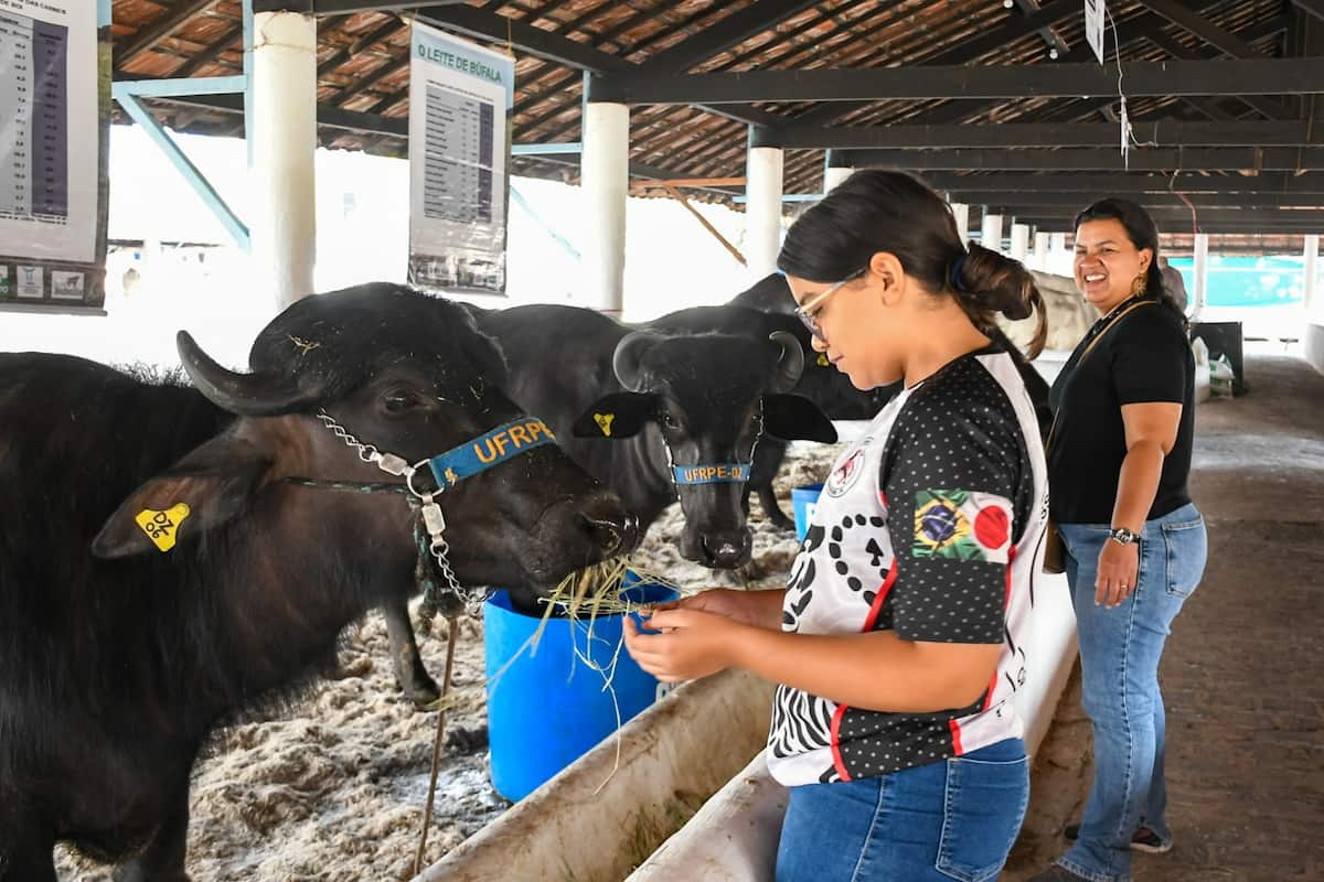 81ª Exposição Nordestina de Animais e Produtos Derivados