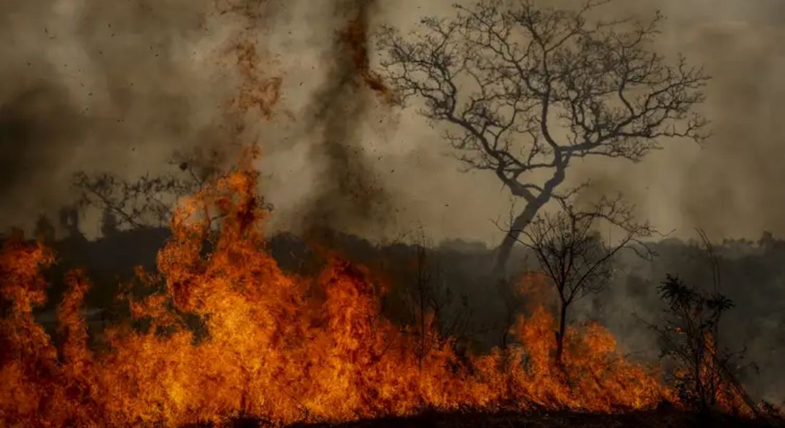 Queimada no Cerrado