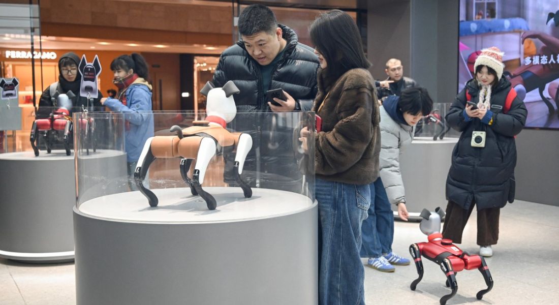 Robôs em formato de animal em loja na China - Foto: Rita Qian/AFP