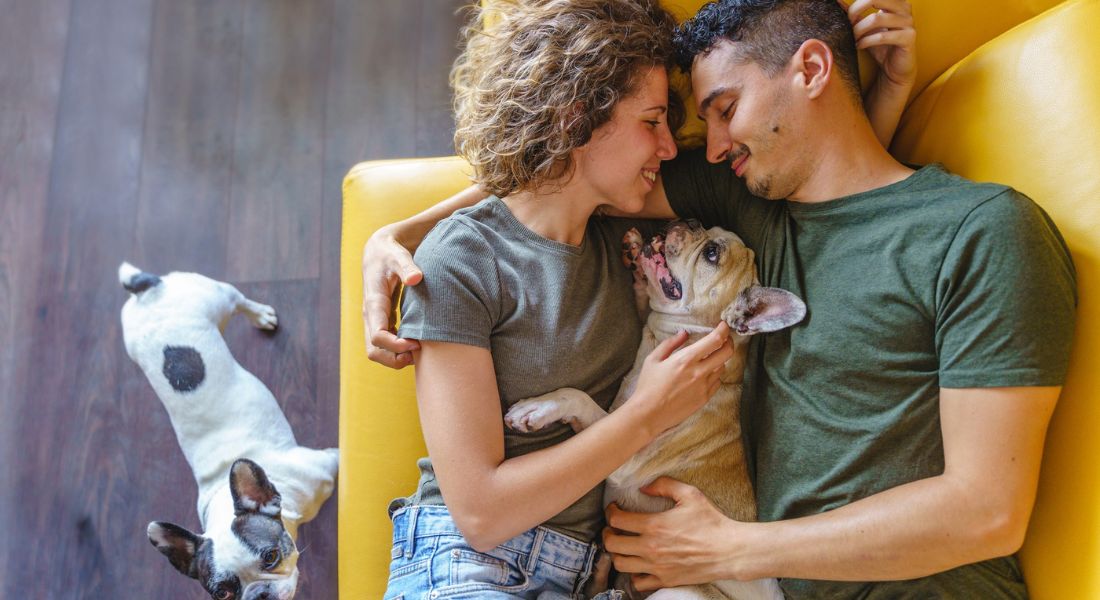 Casal jovem com cão