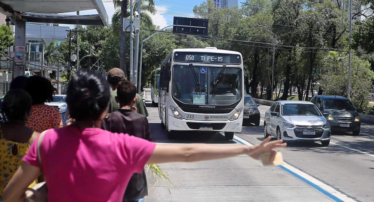 Ônibus no Grande Recife 