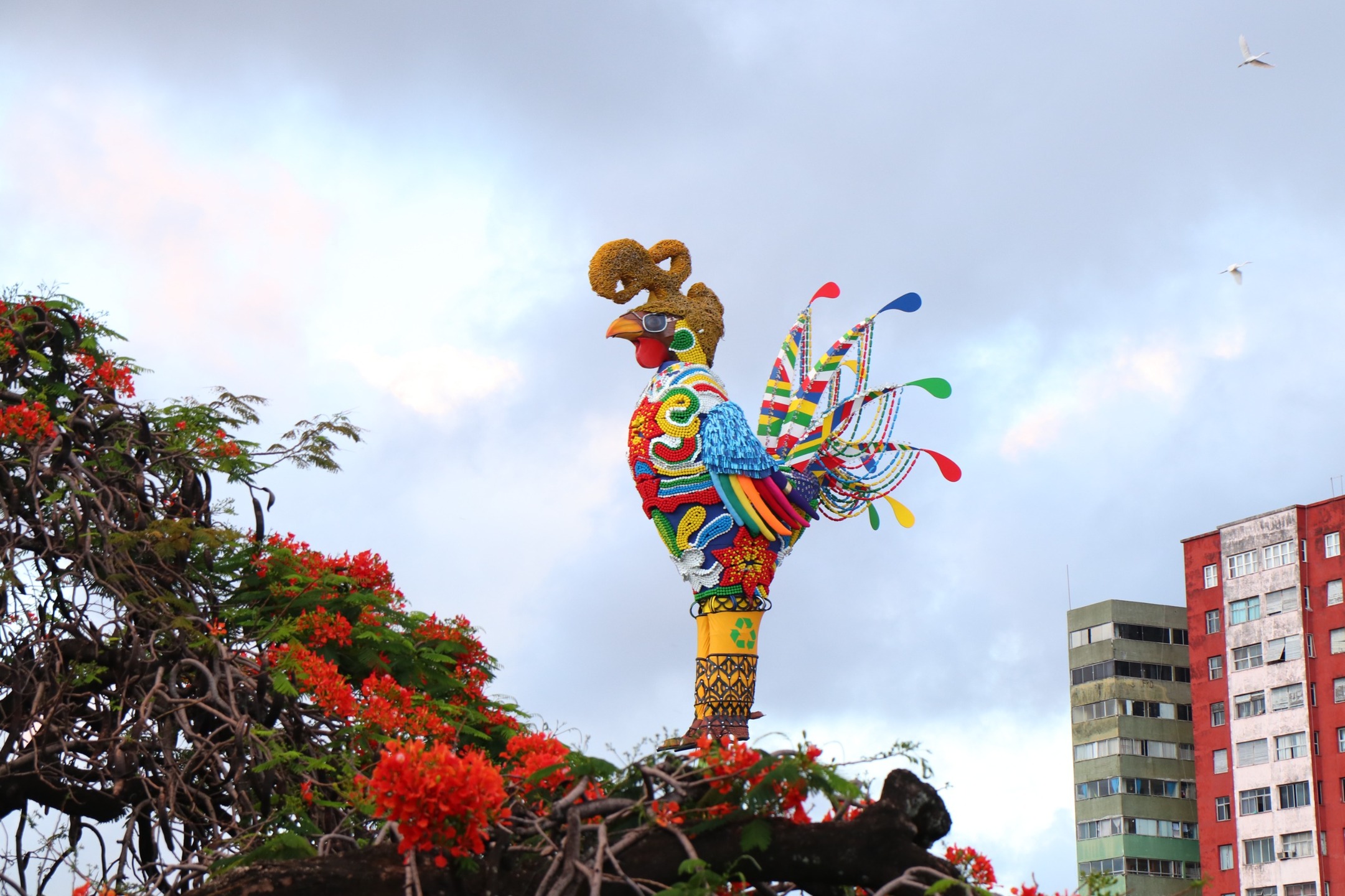 Galo Gigante reverencia o Carnaval de Pernambuco