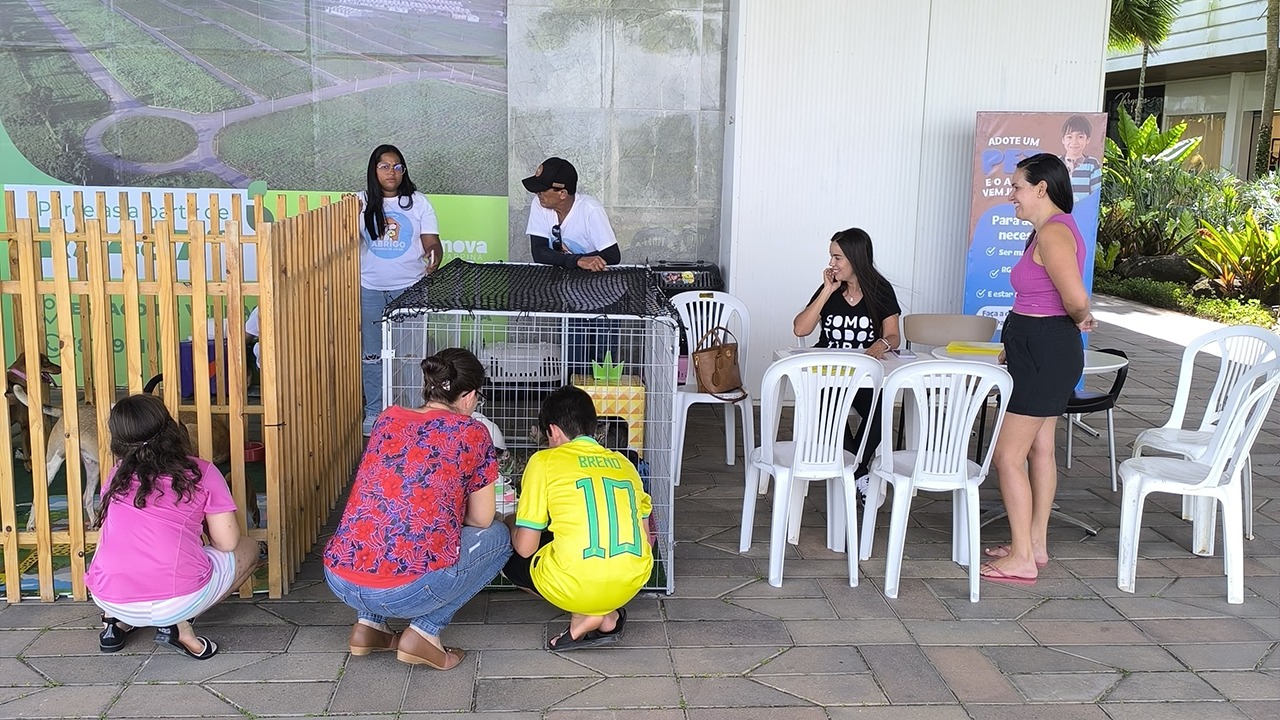 Evento de adoção de animais no Shopping Carpina