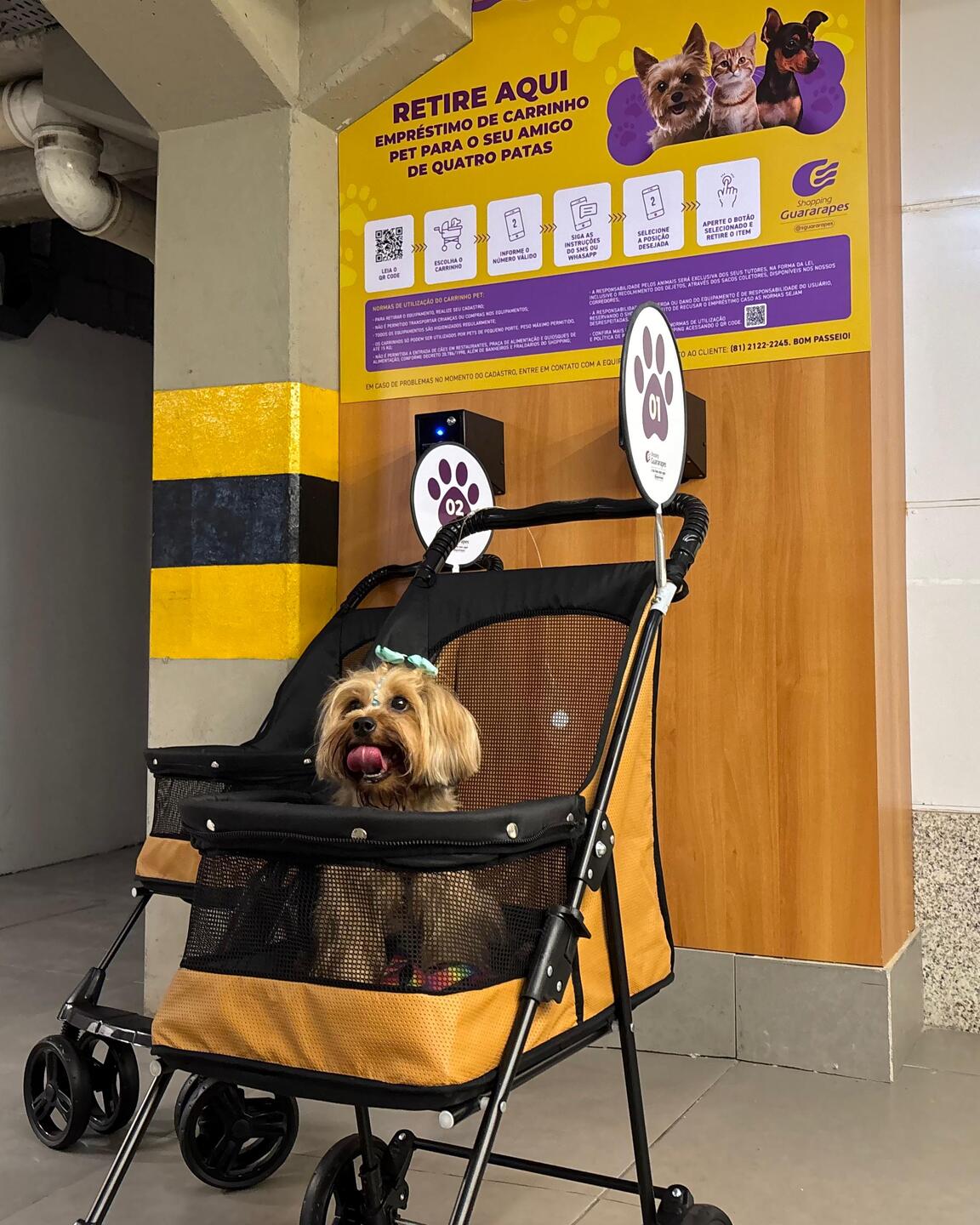 Shopping Guararapes convida público de tutores de pets ao disponibilizar carrinhos específicos para passeio com os animais no mall