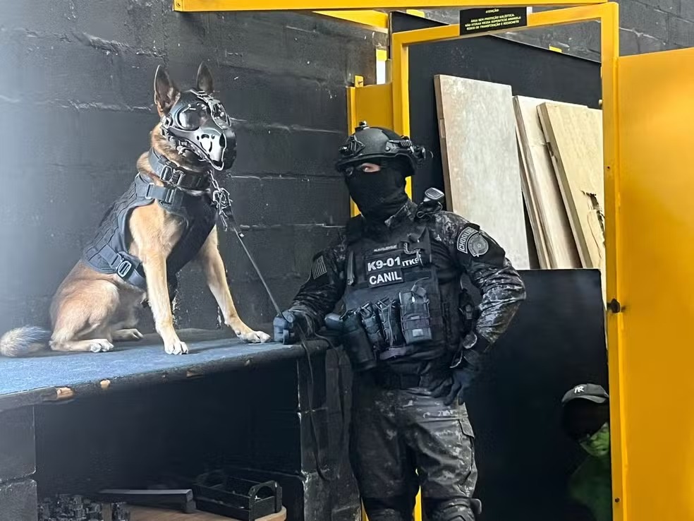 O cabo Diego Albuquerque é o tutor responsável pelo cachorro policial que saltou em Boituva (SP)  Foto: Reprodução/Secretaria de Segurança Pública