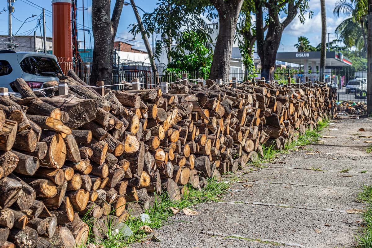 Fogueiras à venda para o São João 2025