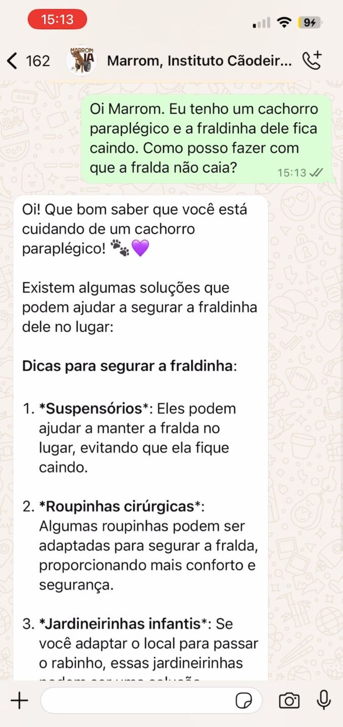 Inteligência Artificial Marrom tira dúvidas sobre cães e gatos com deficiência - Divulgação/Instituto Cãodeirante