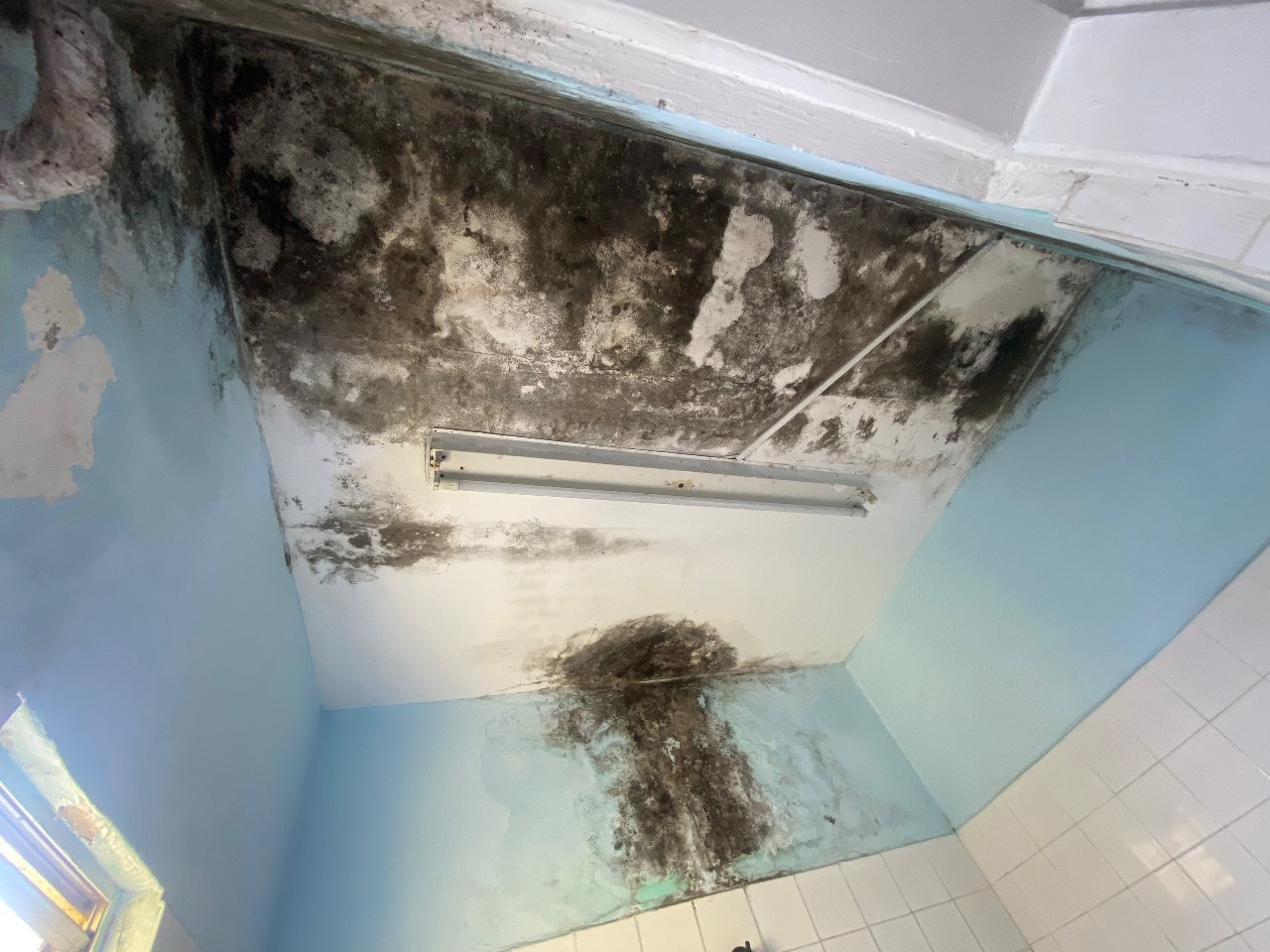 Ambiente mofado na SPA Olinda, registrado pelo Coren-PE - Maria Eduarda Silva