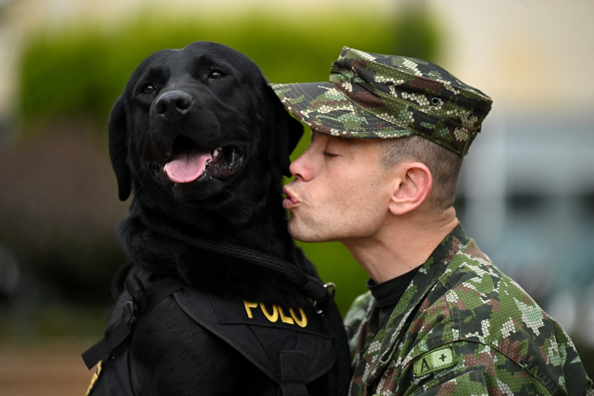 Soldado Colombiano e o cão terapeuta Polo