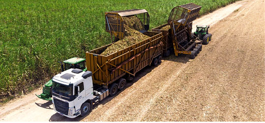 Para a safra 2025/2026, o sindicato projeta a moagem de 14 milhões de toneladas de cana