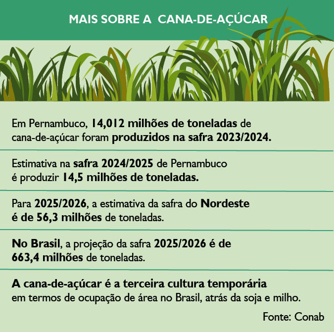 Dados sobre a safra da cana-de-açúcar