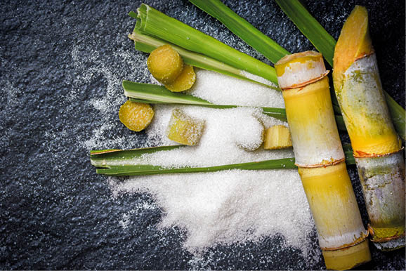 A Sudcen comercializa de 4 a 5 milhões de toneladas de açúcar bruto por ano no Brasil | Foto: Freepik/Reprodução