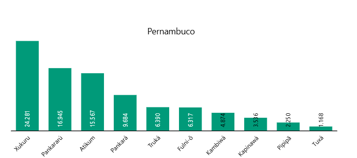 Confira a população indígena por etnia em Pernambuco