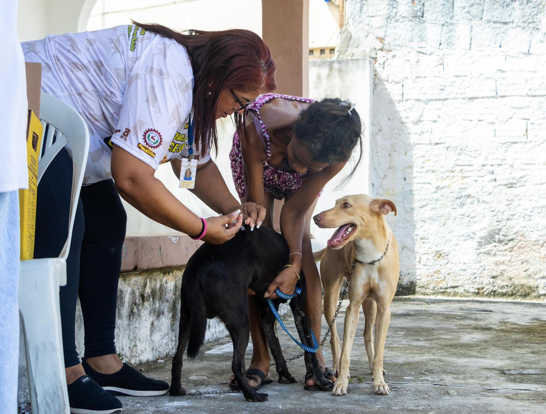 A raiva é uma doença endêmica no Brasil - Thales Martins / SECOM