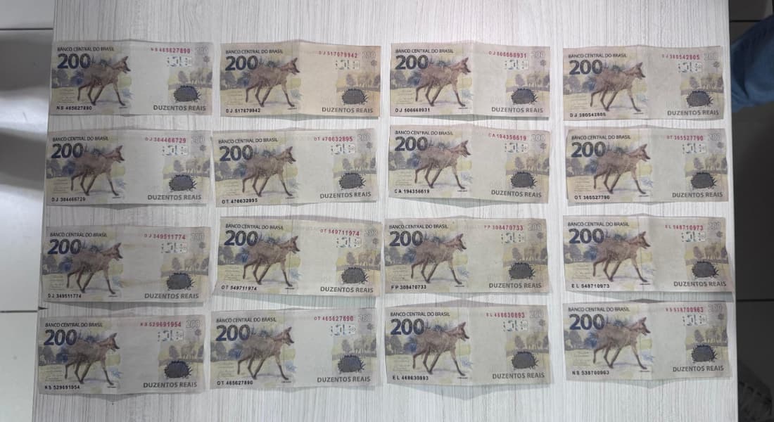 Notas falsas apreendidas pela PF