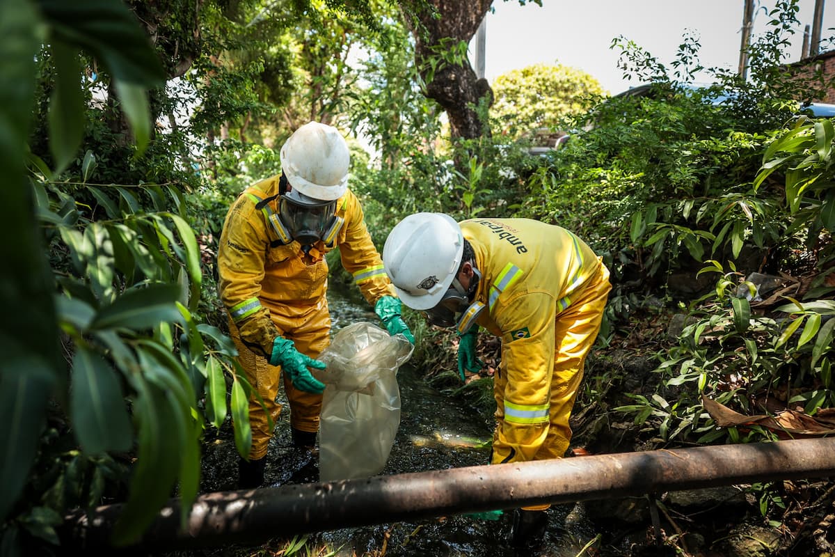 Profissionais do Ibama Recife atuaram na situação 